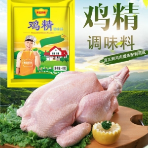 Gold Chef Chicken Essence 40g