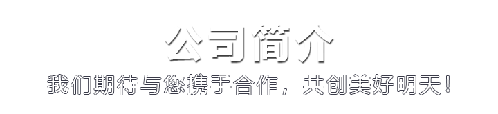 公司简介