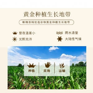 黄金厨师小厨师味精红袋100g